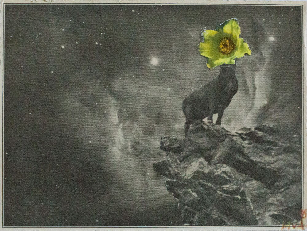 Steinbockgedanken, 2016, 15x11,5 cm