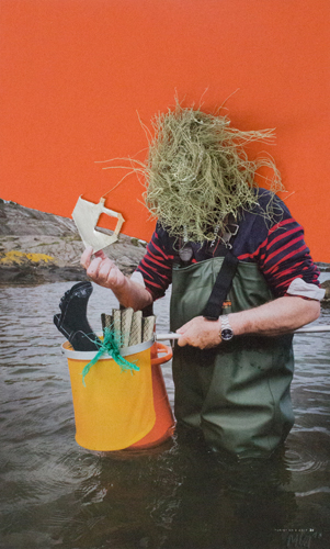 Plastikplanet, 2017, 21x34 cm (verkauft) Thumb